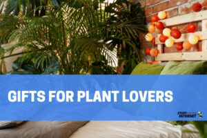 30 Gifts for Plant Lovers (2022)